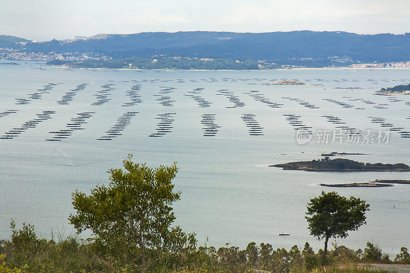 Ría de Arousa bateas from viewpoint, Galicia, Spain.